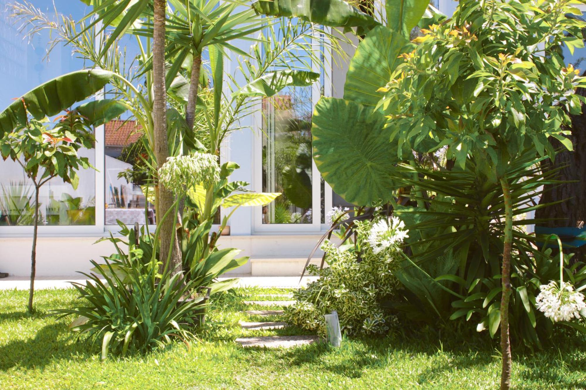 Vila Vale Guest House - Surf & Yoga Шарнека Екстер'єр фото